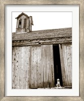 Framed Barnyard Dog