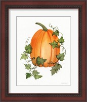 Framed 'Pumpkin and Vines IV' border=
