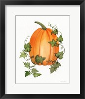 Framed 'Pumpkin and Vines IV' border=