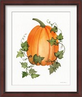 Framed Pumpkin and Vines IV