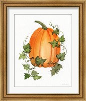 Framed 'Pumpkin and Vines IV' border=