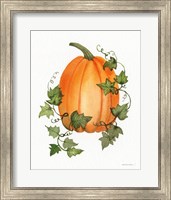 Framed Pumpkin and Vines IV