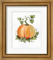 Framed Pumpkin and Vines II