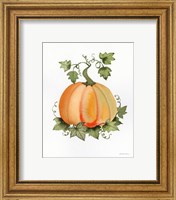 Framed 'Pumpkin and Vines II' border=