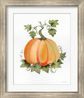 Framed 'Pumpkin and Vines II' border=
