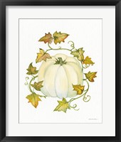 Pumpkin and Vines III Framed Print