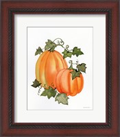 Framed 'Pumpkin and Vines I' border=