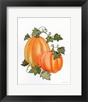 Framed Pumpkin and Vines I