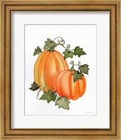 Framed 'Pumpkin and Vines I' border=