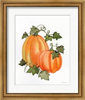 Framed Pumpkin and Vines I