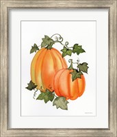 Framed Pumpkin and Vines I