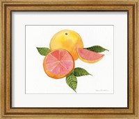 Framed Citrus Garden X