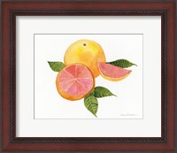Framed Citrus Garden X