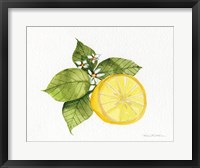 Framed Citrus Garden IX