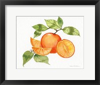 Framed Citrus Garden VIII