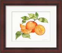 Framed Citrus Garden VIII