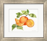 Framed Citrus Garden VIII