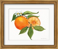 Framed Citrus Garden V