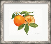 Framed Citrus Garden V