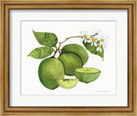 Framed Citrus Garden IV