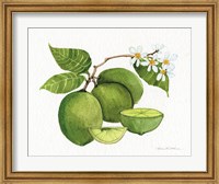 Framed Citrus Garden IV