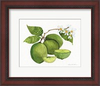 Framed Citrus Garden IV