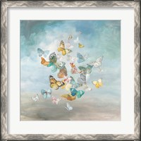 Framed Beautiful Butterflies