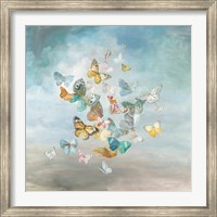 Framed Beautiful Butterflies