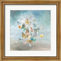 Framed Beautiful Butterflies