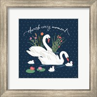 Framed Swan Lake IV