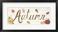 Framed Autumn Bounty IV