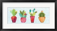 Southwest Cactus V Framed Print
