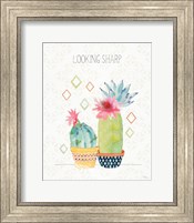 Framed Sweet Succulents III