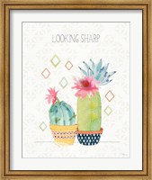 Framed Sweet Succulents III