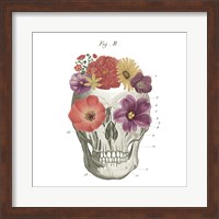 Framed Floral Skull II