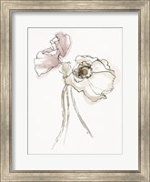 Framed Three Somniferums Poppies Neutral II