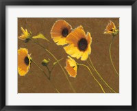 Framed Sunny Flowers I