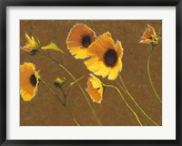 Framed Sunny Flowers I