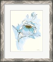 Framed Carols Roses V Blue