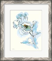 Framed Carols Roses IV Blue