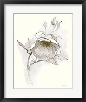 Framed Carols Roses V Off White