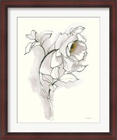 Framed Carols Roses III Soft Gray