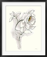 Framed Carols Roses III Soft Gray