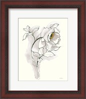 Framed Carols Roses III Soft Gray