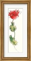 Framed Peony Form Poppies I