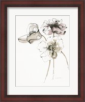 Framed Three Somniferums Poppies Neutral