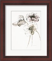 Framed Three Somniferums Poppies Neutral