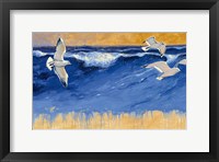 Framed Seagulls