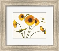 Framed Sunny Flowers on White