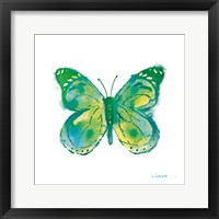 Framed Birdsong Garden Butterfly I on White